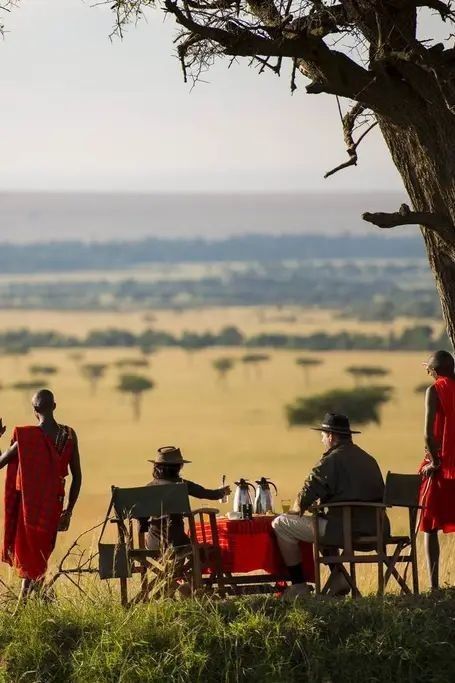 Group Safari