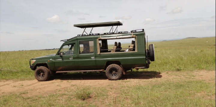 Budget Safari