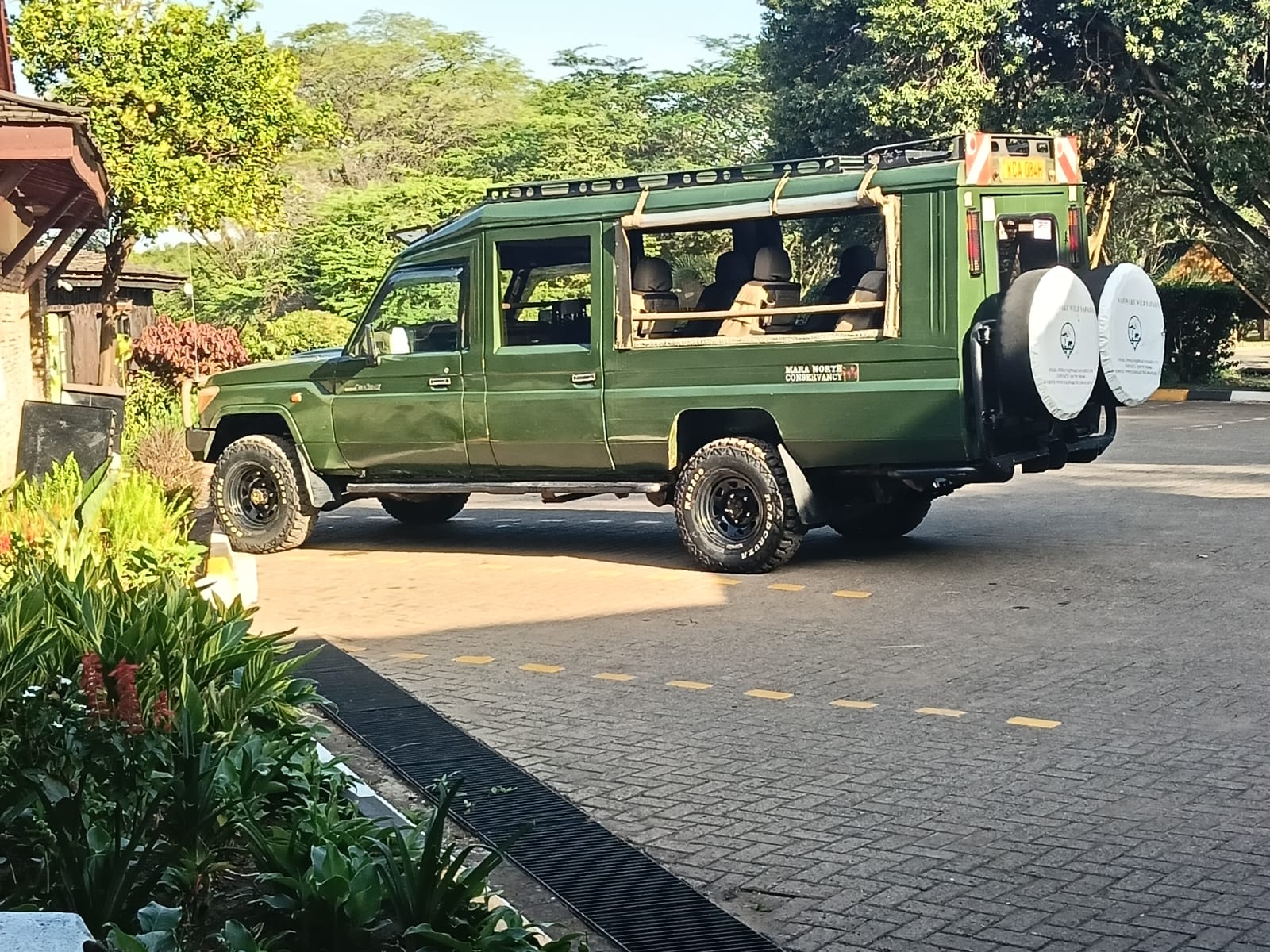 Luxury Safari